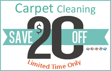 Carpet Cleaning Special Offer